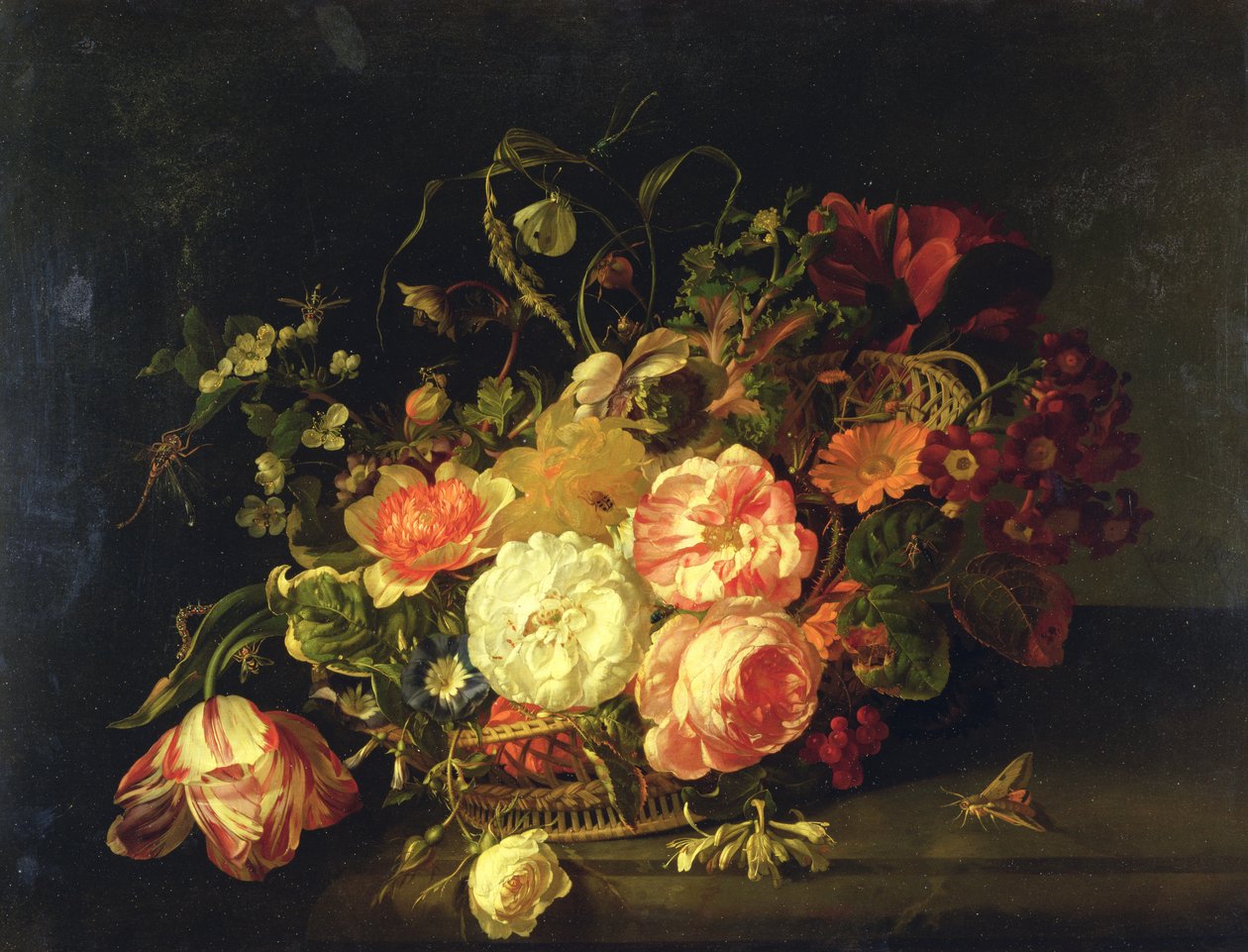 Blomster og Insekter, 1711 af Rachel Ruysch