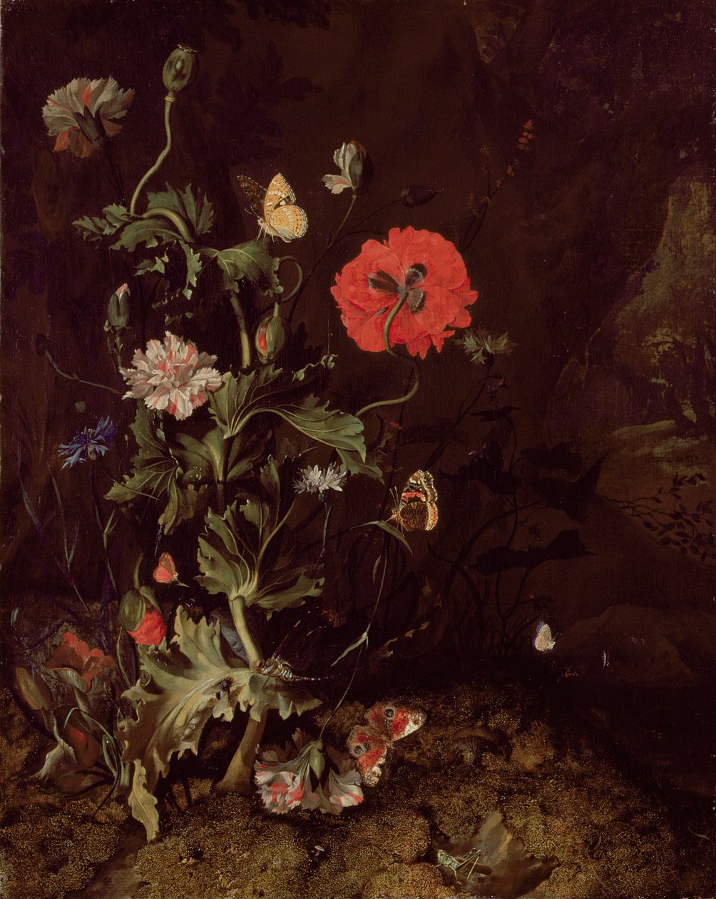 Skovbundsstilleben med blomster og sommerfugle af Rachel Ruysch