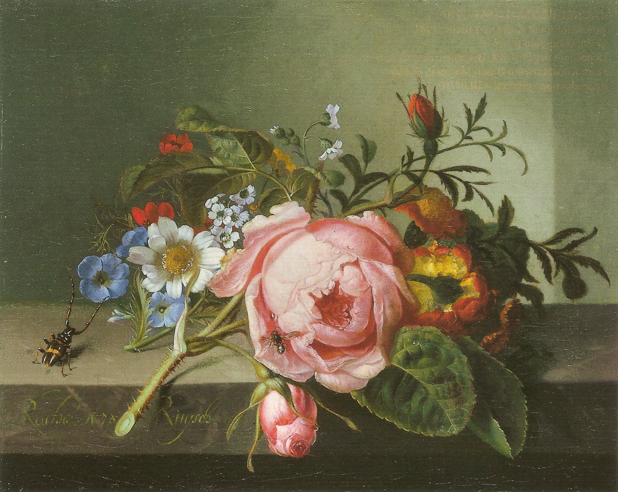 Rosegren med bille og bi af Rachel Ruysch