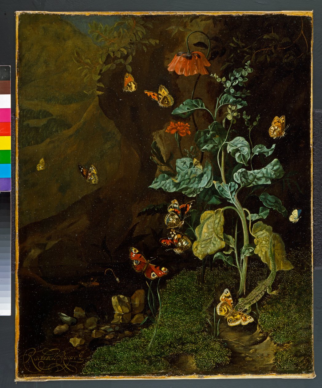 Et stilleben med blomster, sommerfugle og et firben i en kælder, før 1750 af Rachel Ruysch