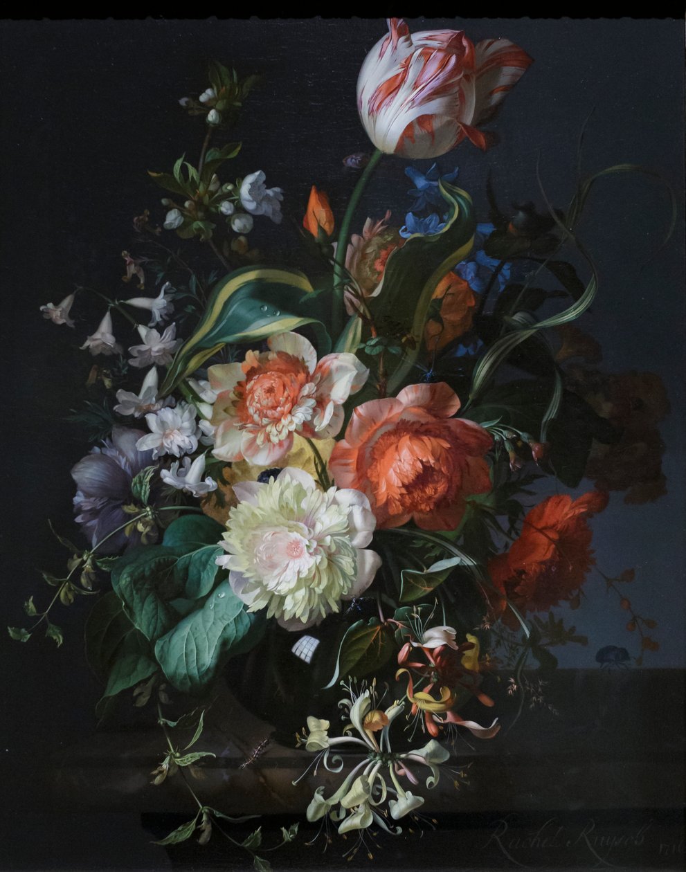 Blomster i en glasvase med en tulipan af Rachel Ruysch