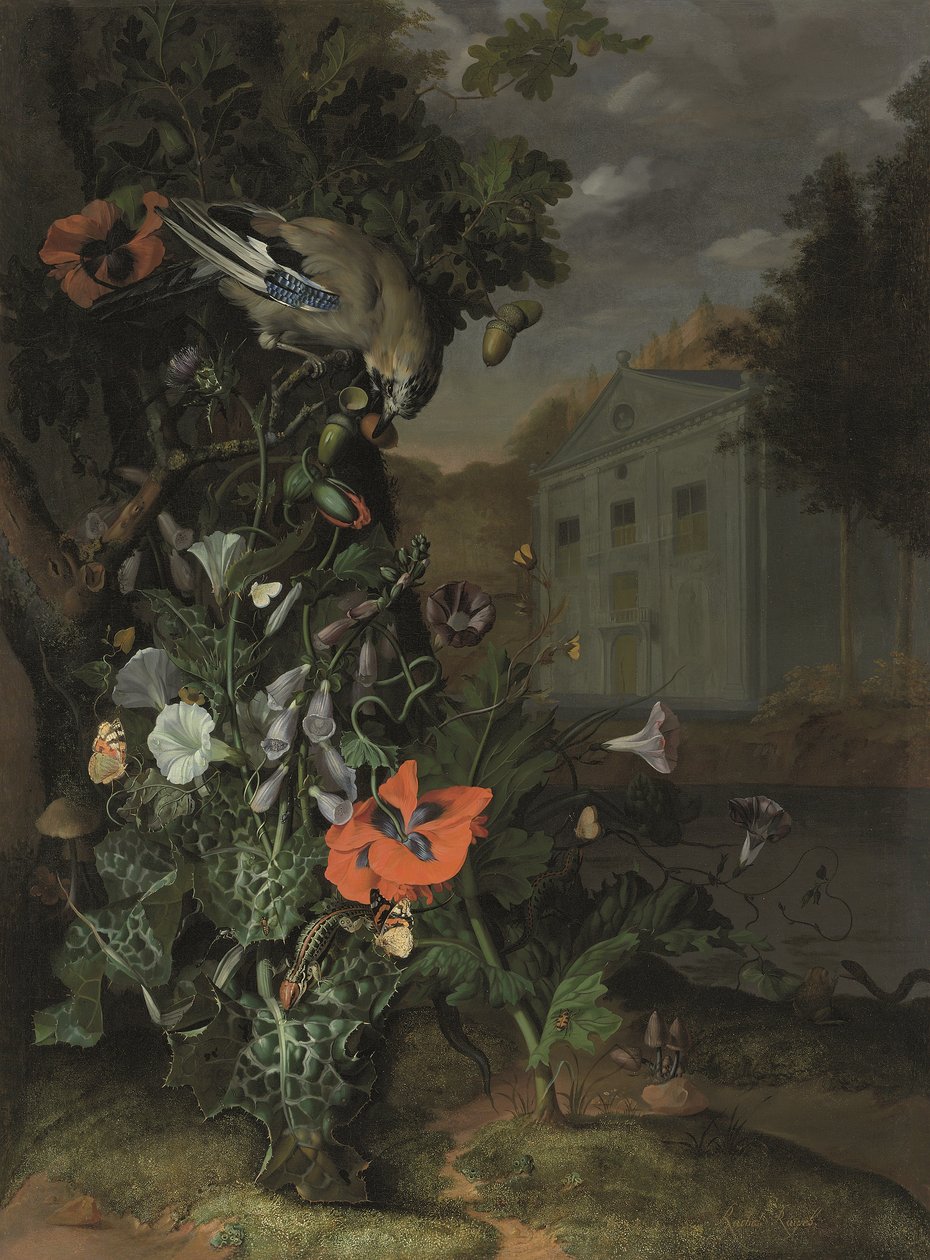 Skovbund med en klassisk facade bagved (olie på lærred) af Rachel Ruysch