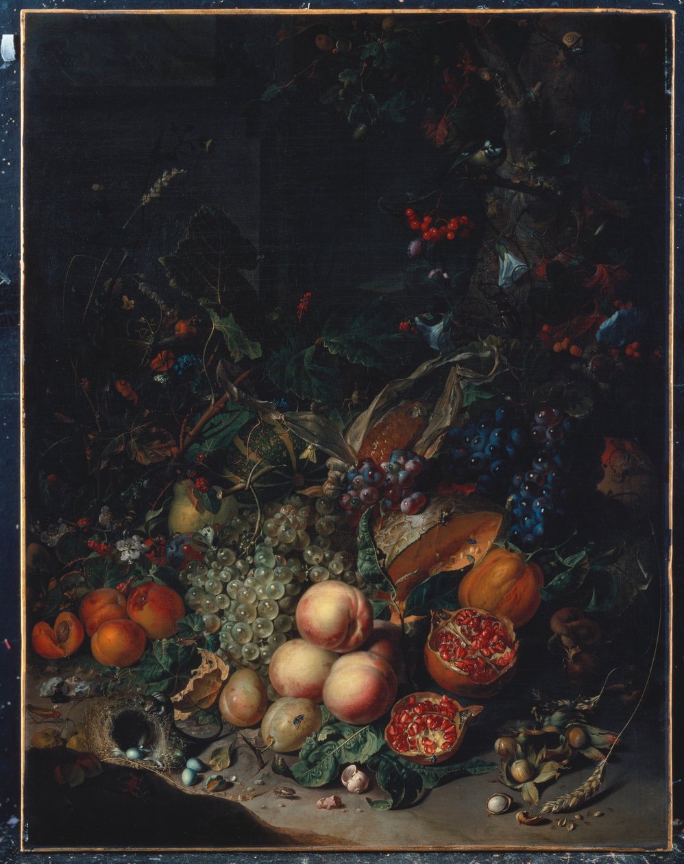 Fersken, druer, granatæbler, meloner, en majskolbe, abrikoser, blommer, pærer, agern, 1718 af Rachel Ruysch