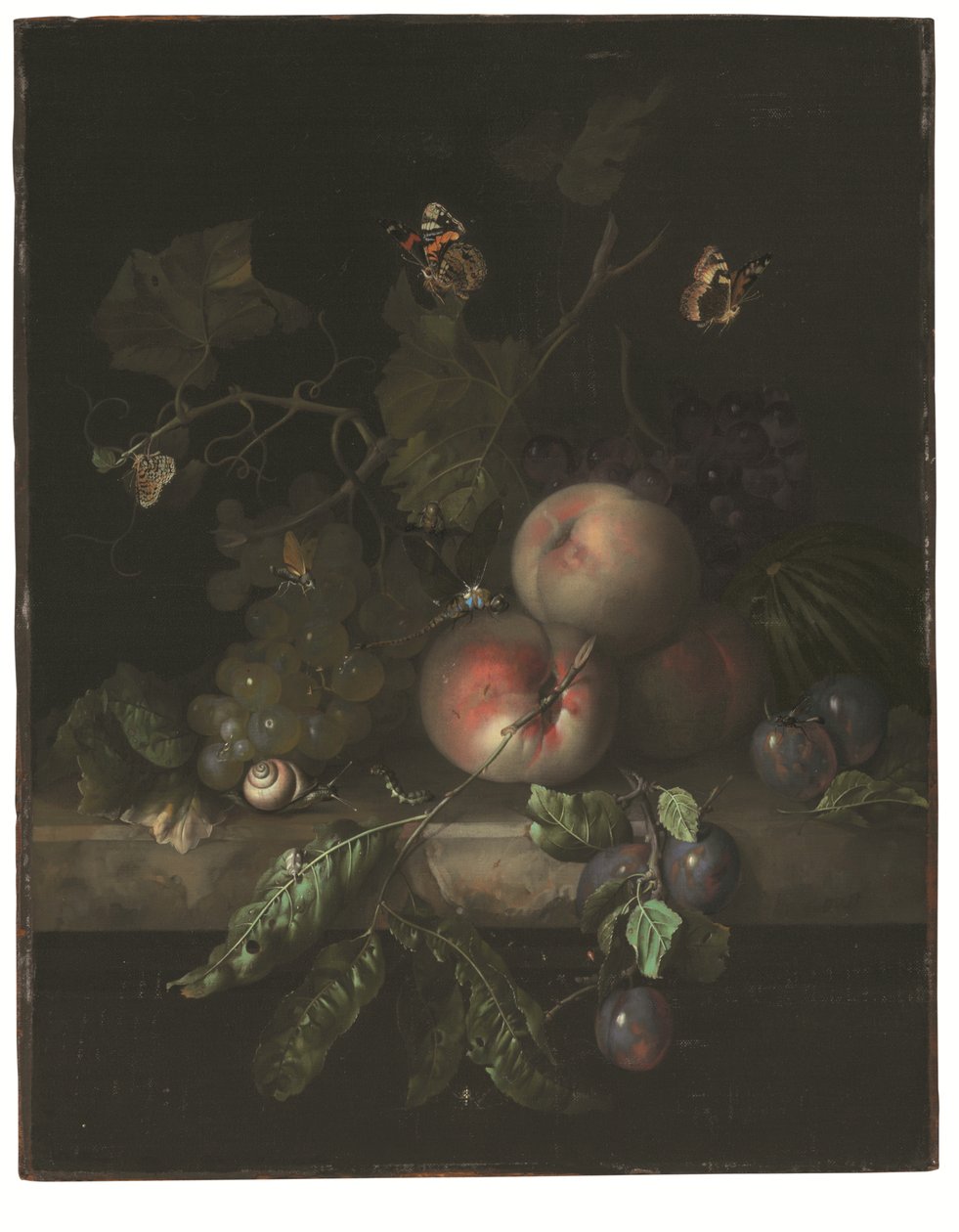 Ferskner, druer og blommer med en guldsmed, snegl, larve, natsværmer og andre insekter på en stenkant af Rachel Ruysch