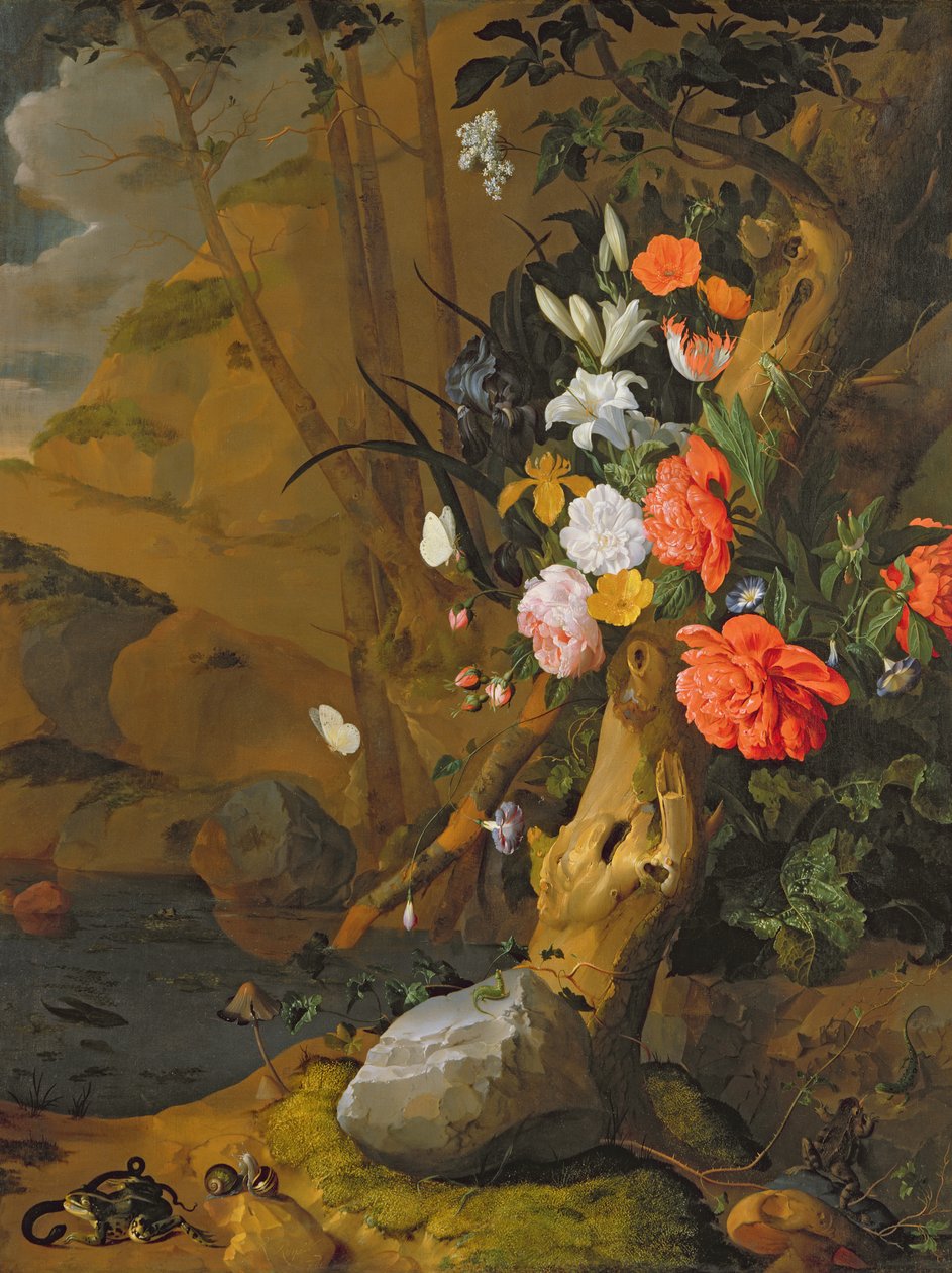 Ukendt billede af Rachel Ruysch