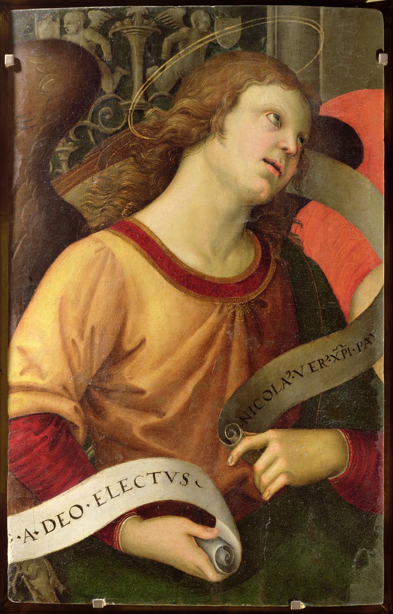 Angel, fra St. Nicholas of Tolentinos polytykon, 1501 af Raffaello Sanzio Raphael