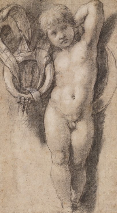 Putto med Medici -symboler af Raffaello Sanzio Raphael