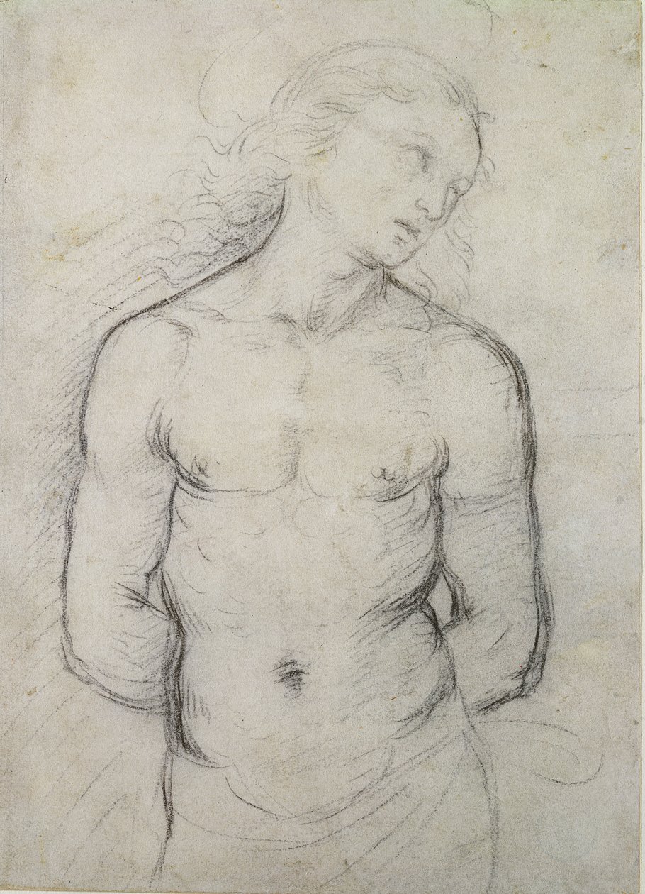 Sankt Sebastian, 1499-1500 (sort kridt på hvidt papir) af Raffaello Sanzio Raphael