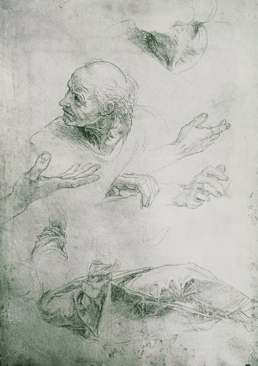 Studier til Bramantes skikkelse (1444-1515) af Raffaello Sanzio Raphael