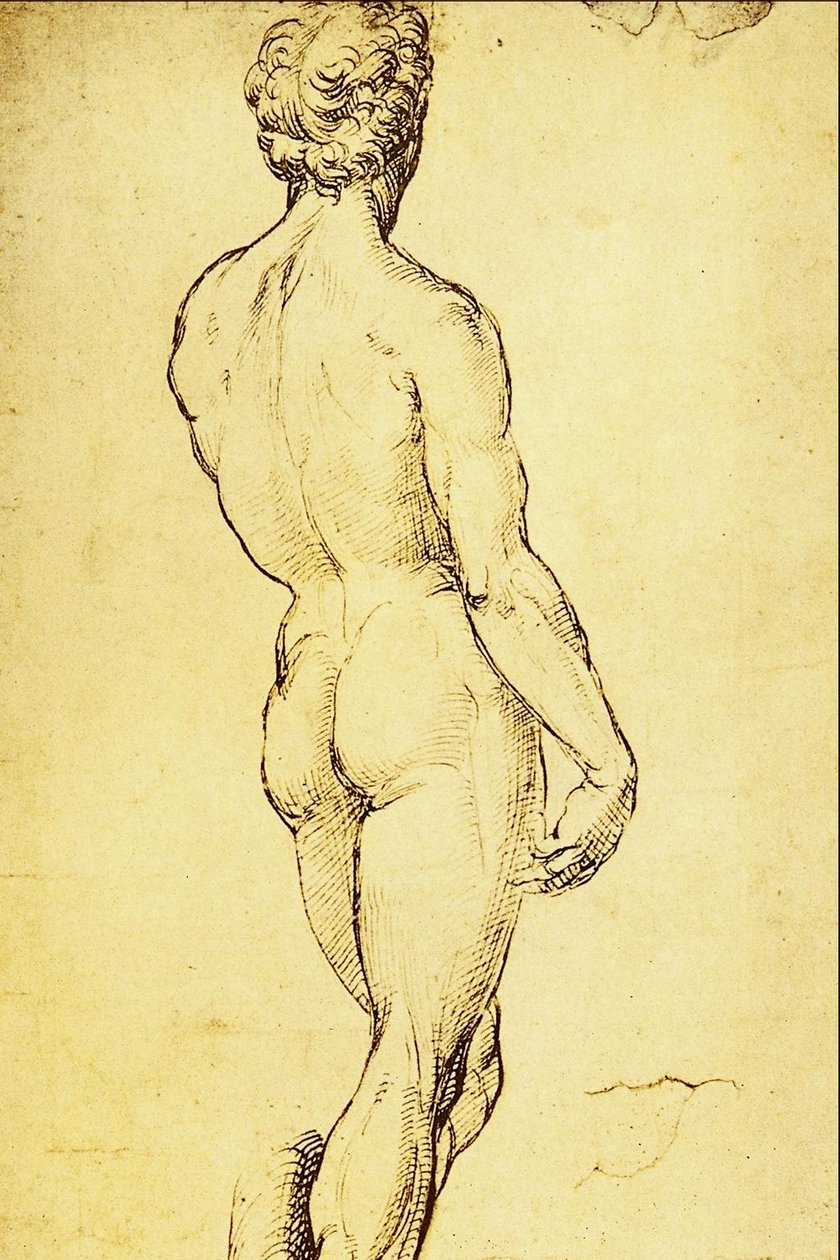 Nøgen undersøgelse af Raffaello Sanzio Raphael