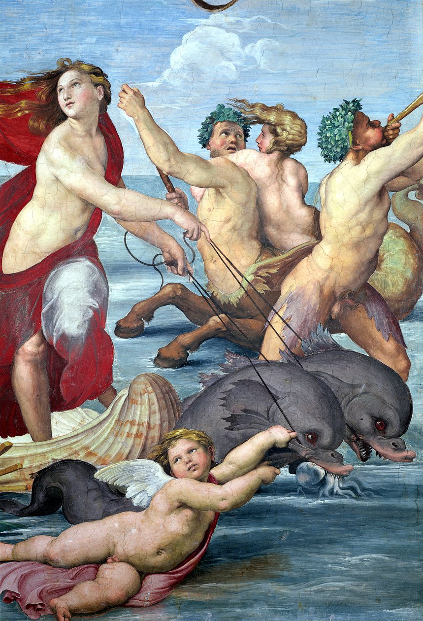Galatea, detalje af havmænd og delfiner, 1506 freskodetalje af 56473 af Raffaello Sanzio Raphael