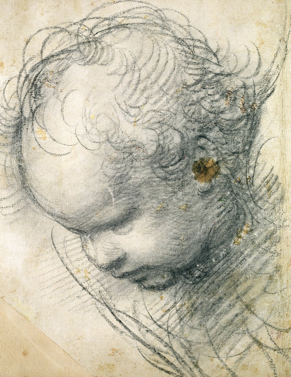 Hovedet af en Cherub (sort kridt og trækul på papir) af Raffaello Sanzio Raphael