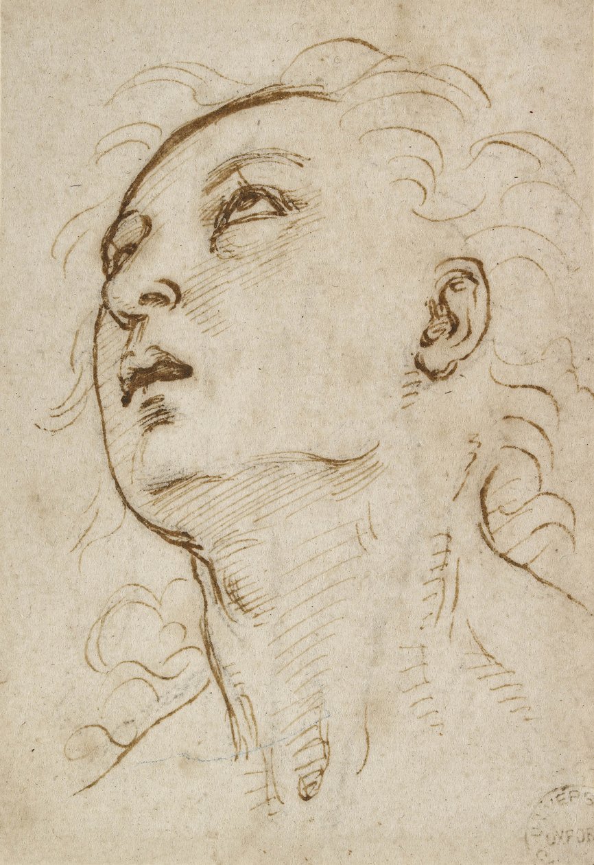 Leder af en ung mand, der stirrer opad, ca. 1497-1504 (pen og brunt blæk over metalspids på cremepapir) af Raffaello Sanzio Raphael