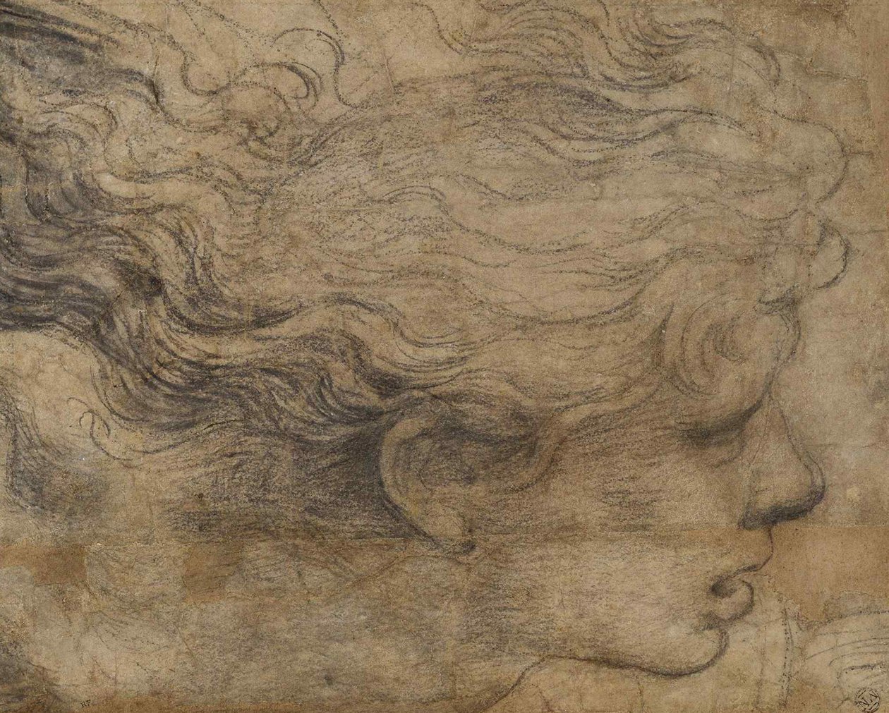 Hovedet af en engel. af Raffaello Sanzio Raphael