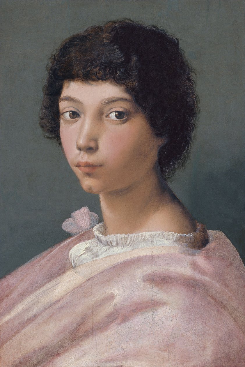 Portræt af en ung mand af Raffaello Sanzio Raphael