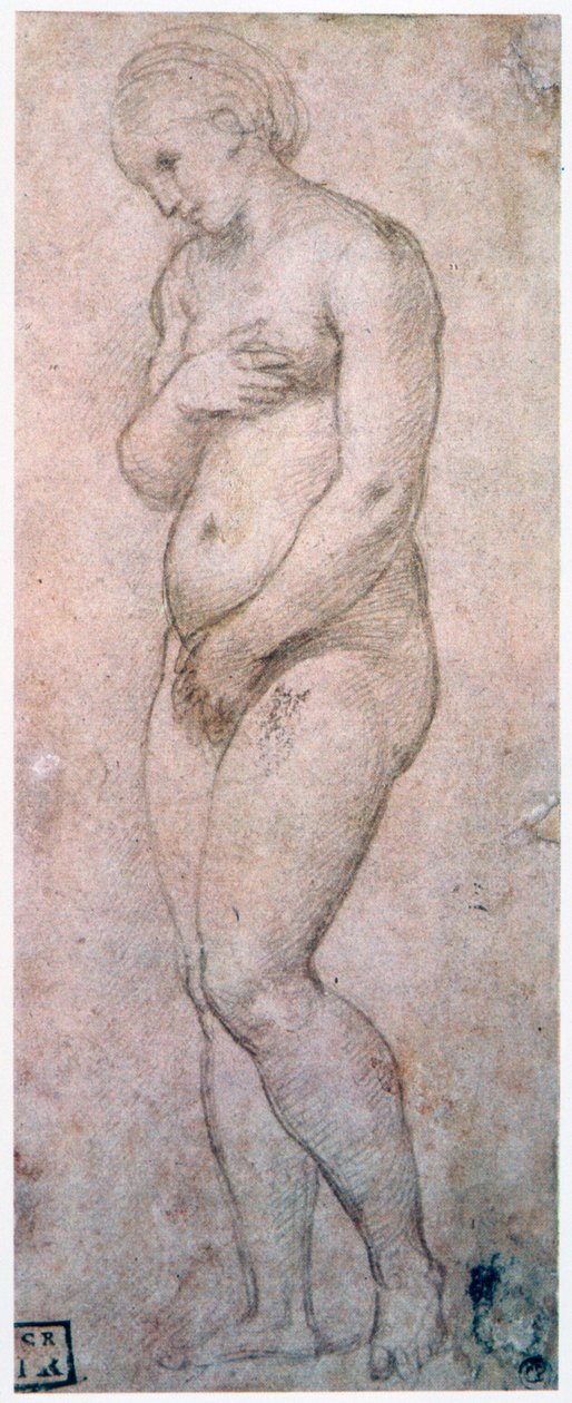 Studie af Venus, c1500-1520 af Raffaello Sanzio Raphael