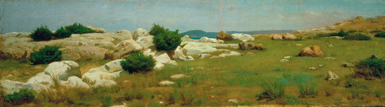 Castiglioncello (olie på lærred) af Raffaello Sernesi