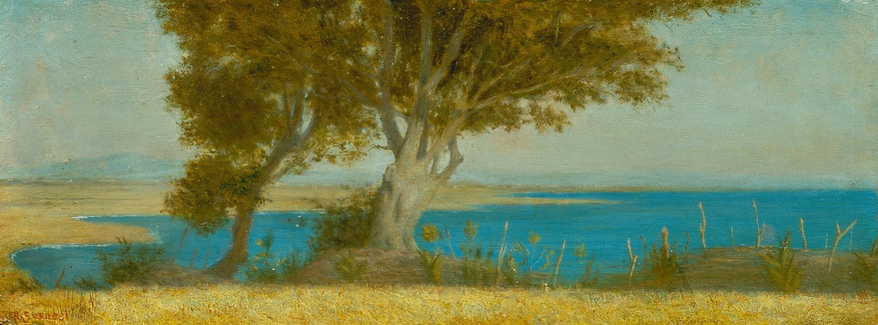 Marina di Castiglioncello af Raffaello Sernesi