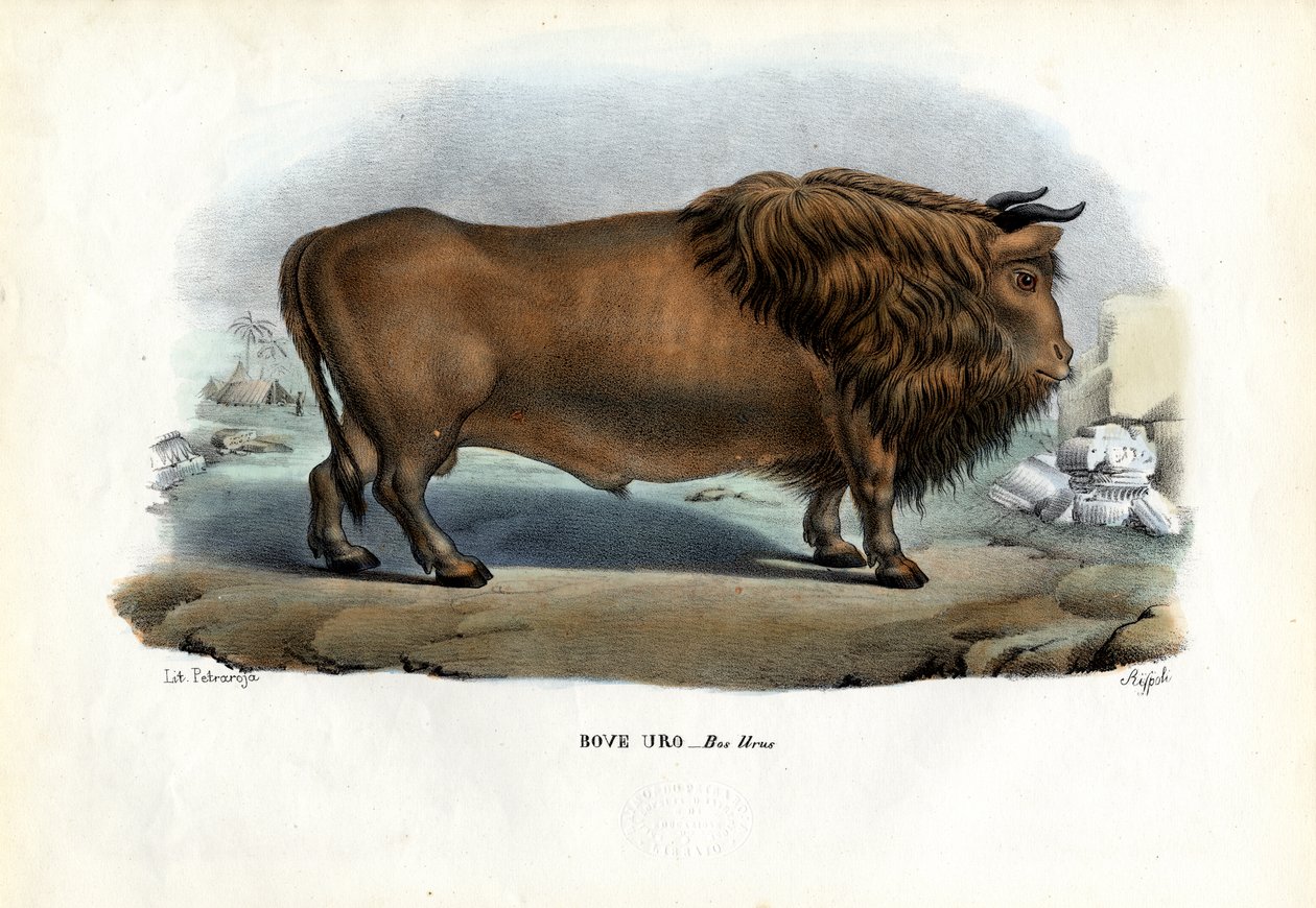 Uroks, 1863-79 af Raimundo Petraroja