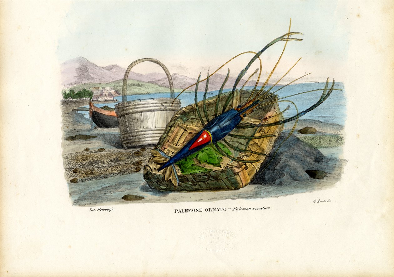 Krebsdyr, 1863-79 af Raimundo Petraroja