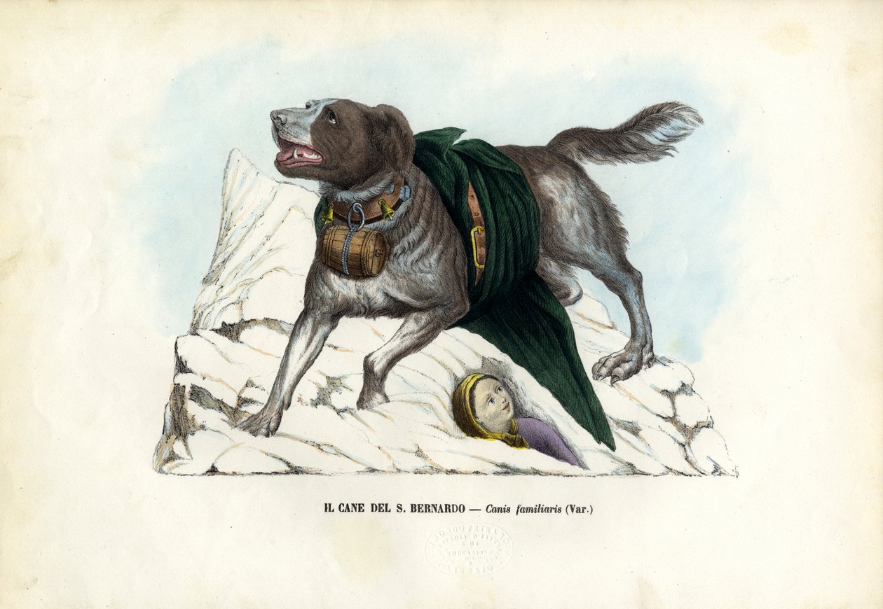 Hunde, 1863-79 af Raimundo Petraroja