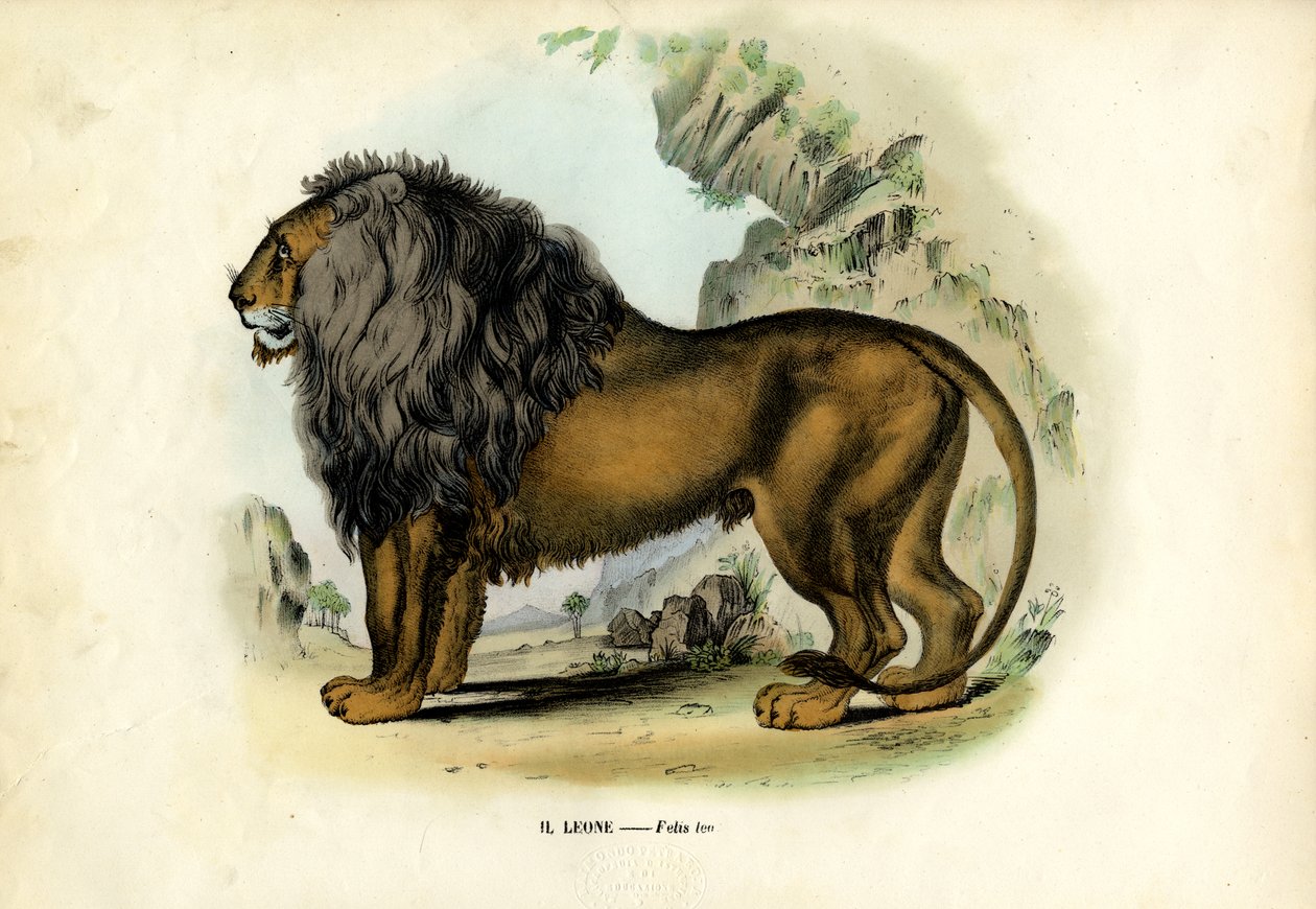 Løve, 1863-79 af Raimundo Petraroja