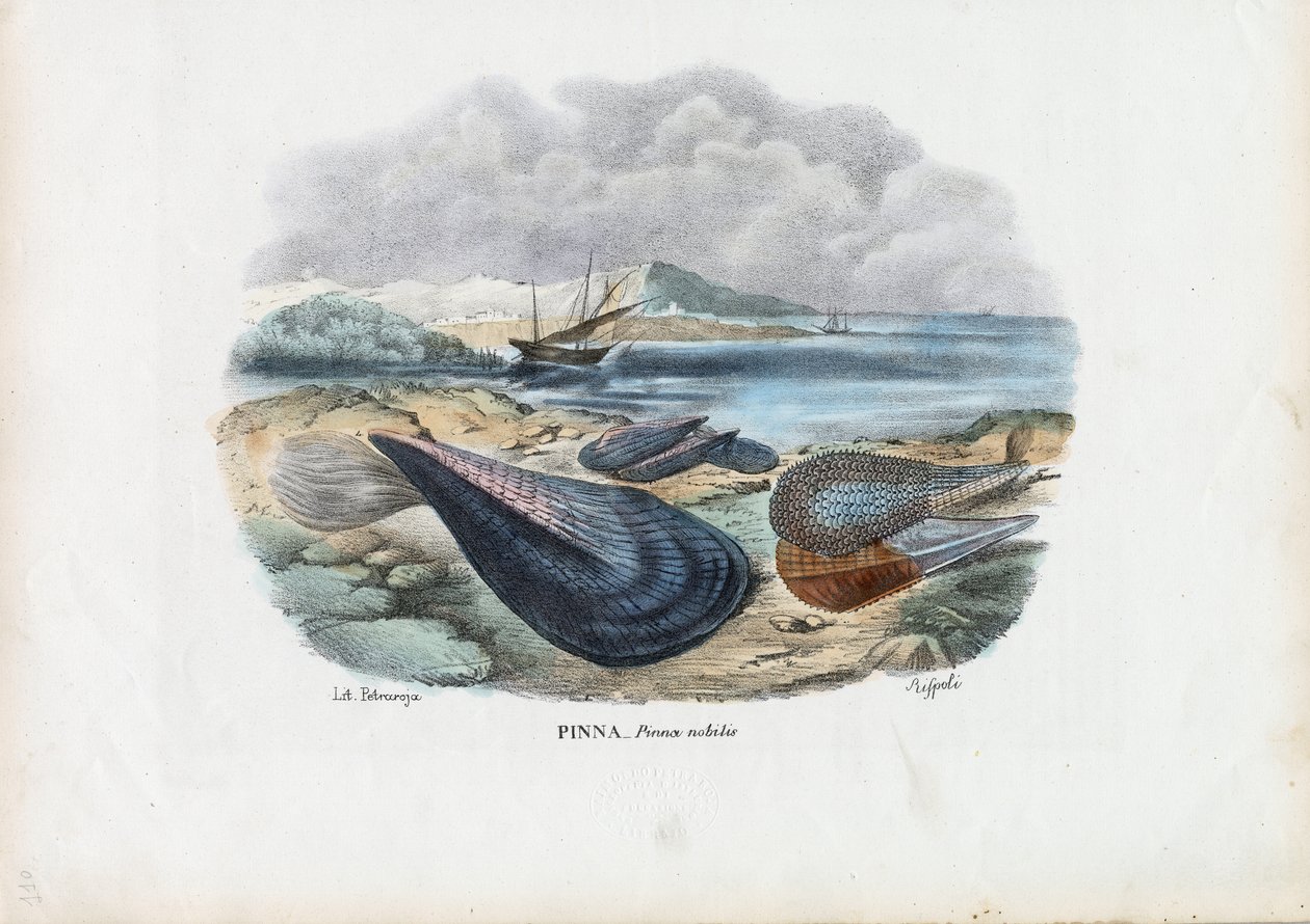 Muslinger, 1863-79 af Raimundo Petraroja