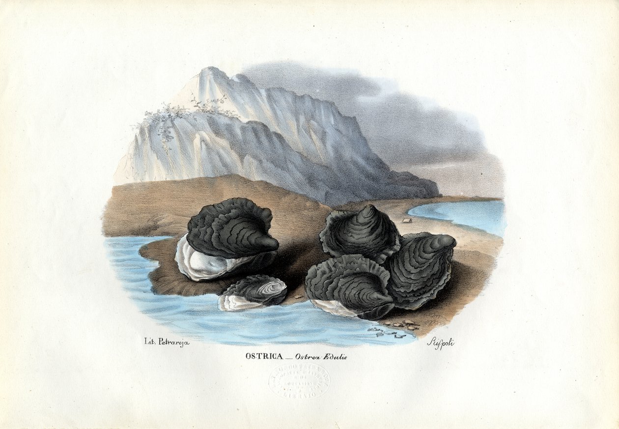 Muslinger, 1863-79 af Raimundo Petraroja