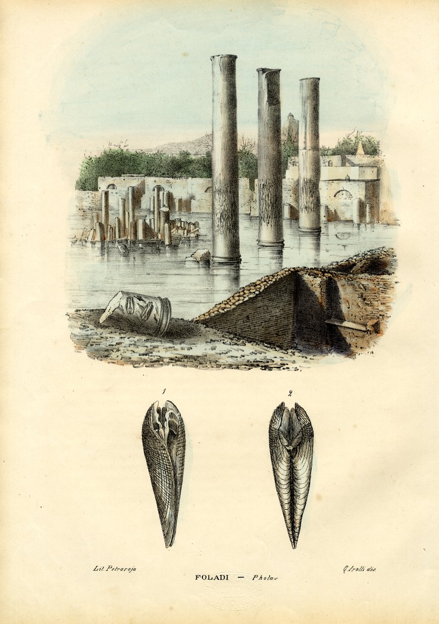 Muslinger, 1863-79 af Raimundo Petraroja
