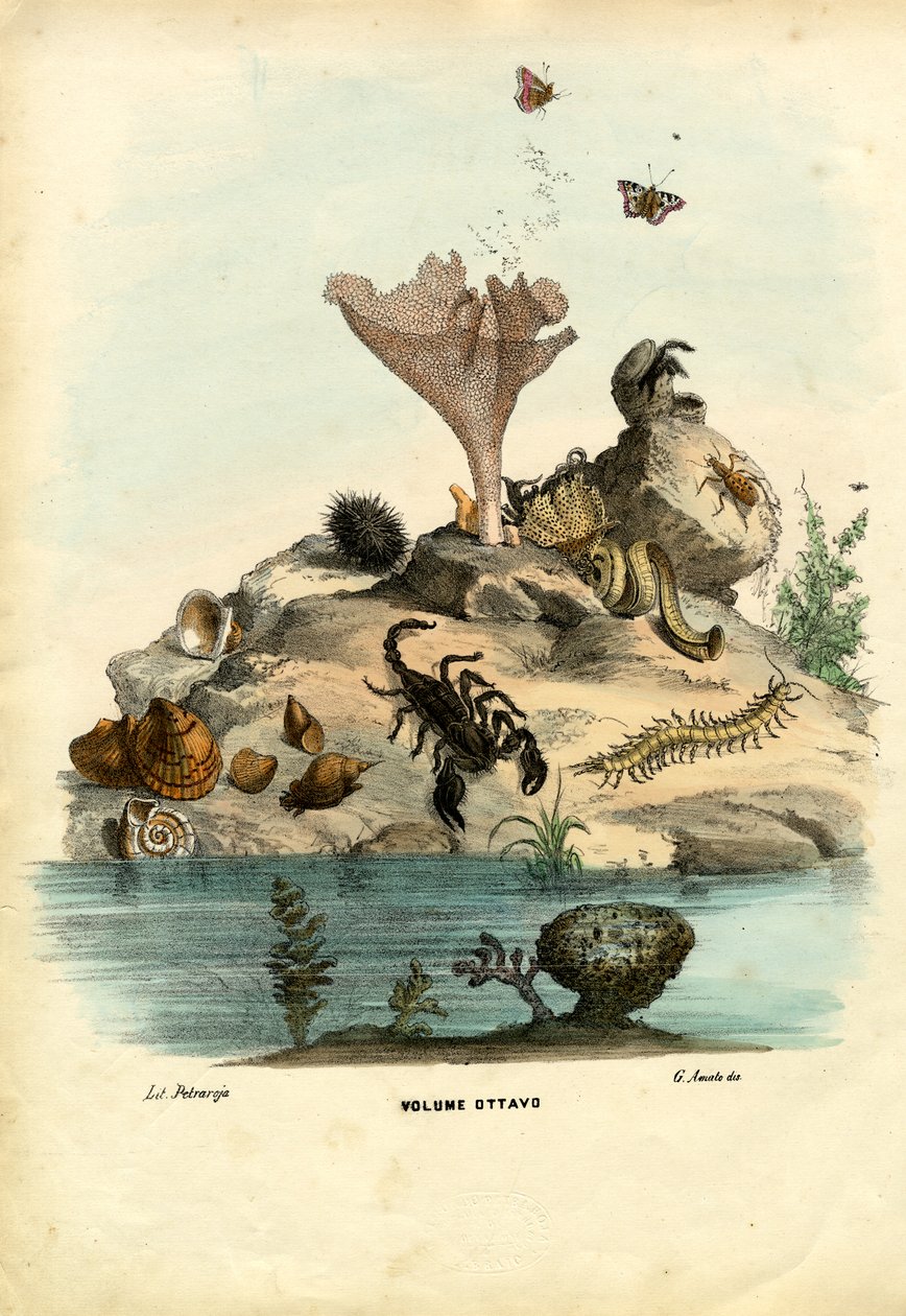 Titelblad, 1863-79 af Raimundo Petraroja