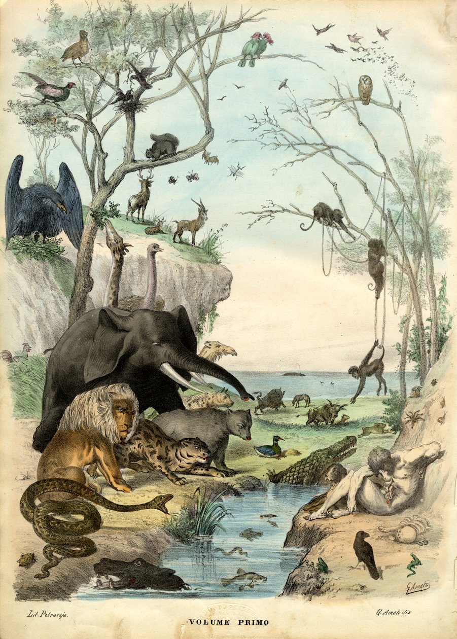 Titelblad, 1863-79 af Raimundo Petraroja