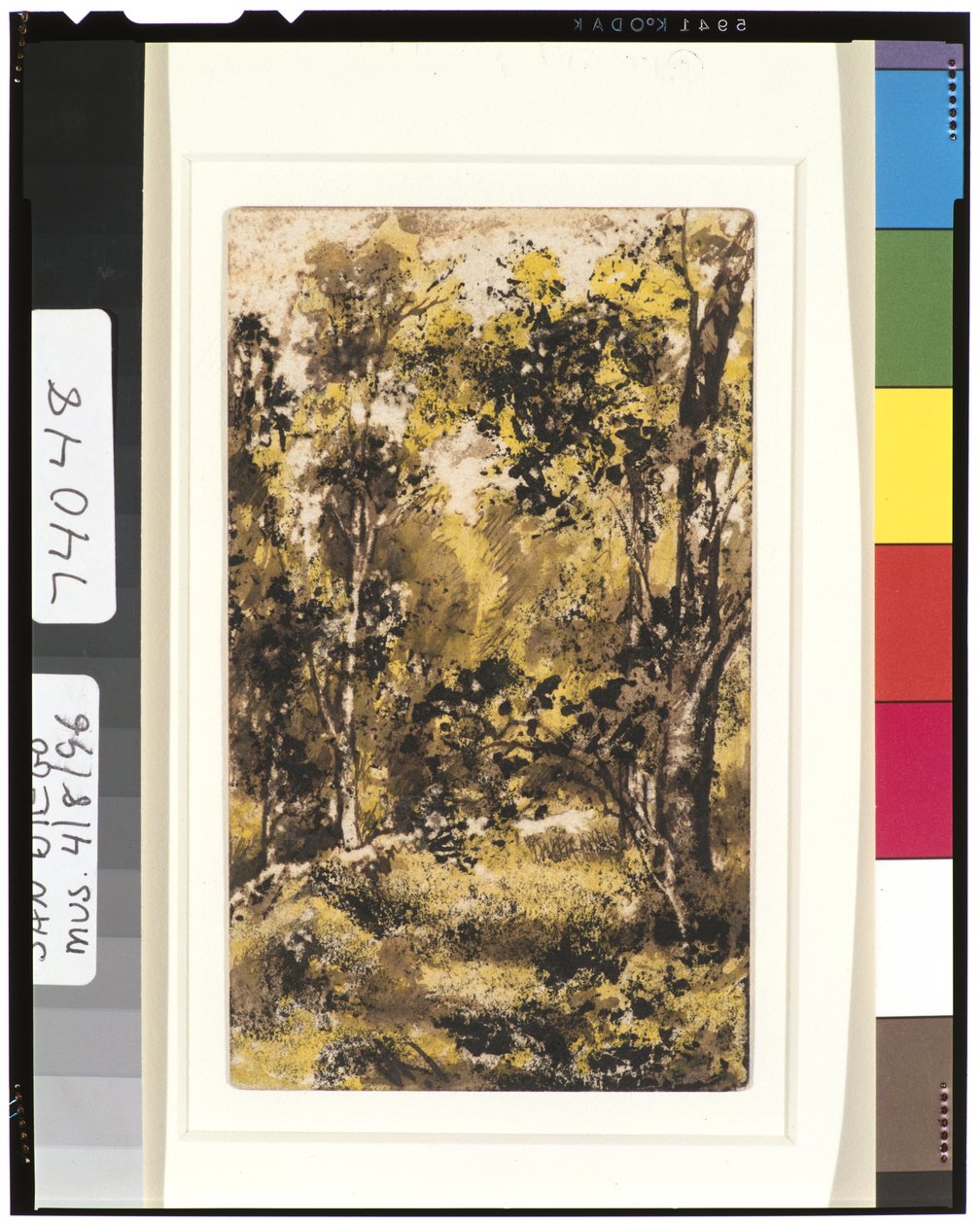 Skovscene, 1901-15 af Ralph Albert Blakelock