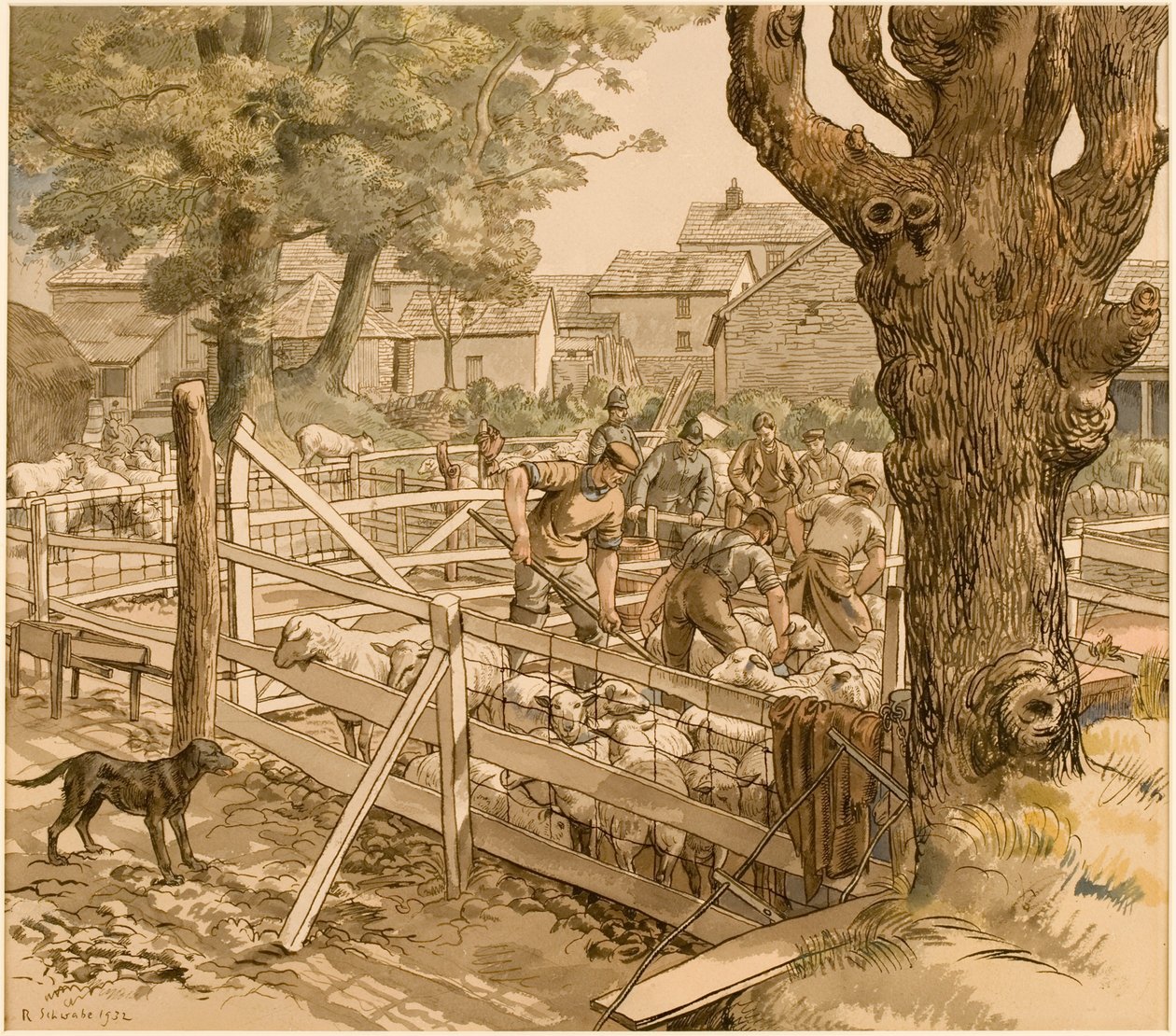 Dypning af får, Cornwall af Randolph Schwabe