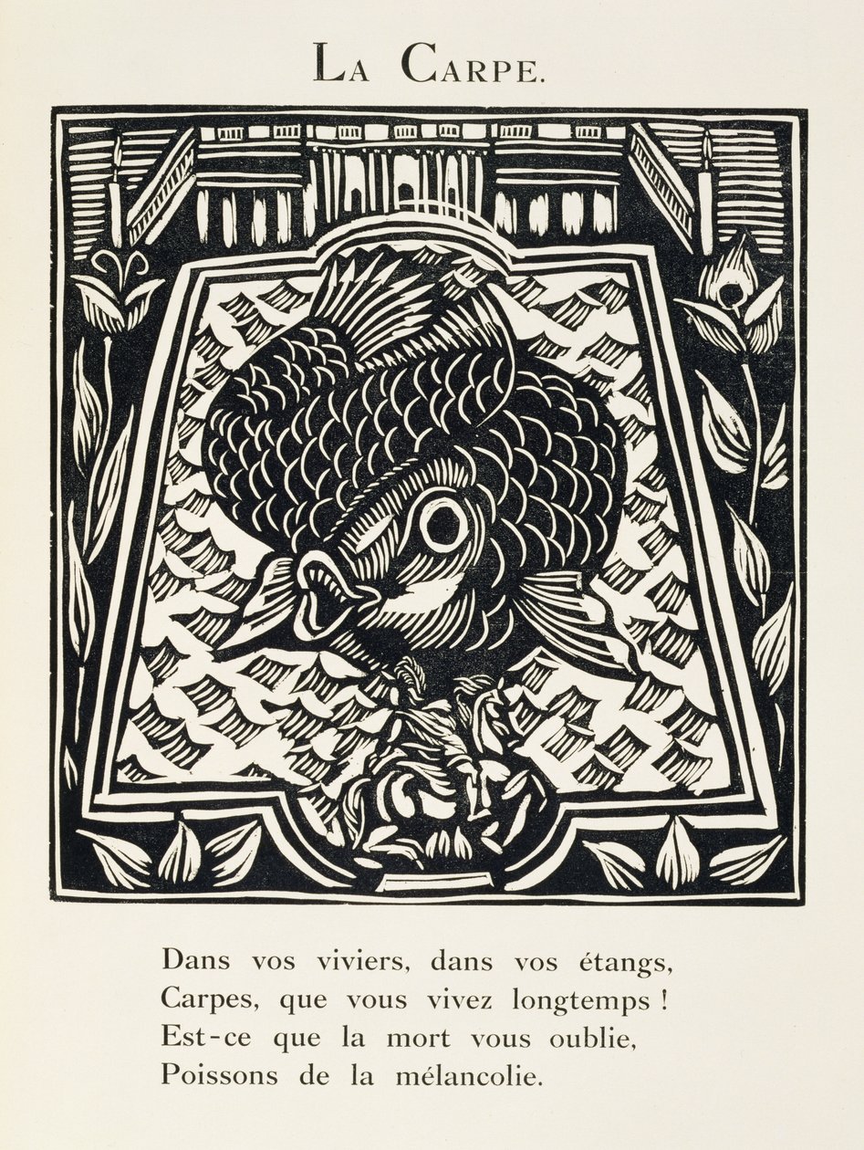 Karpen, illustration fra 