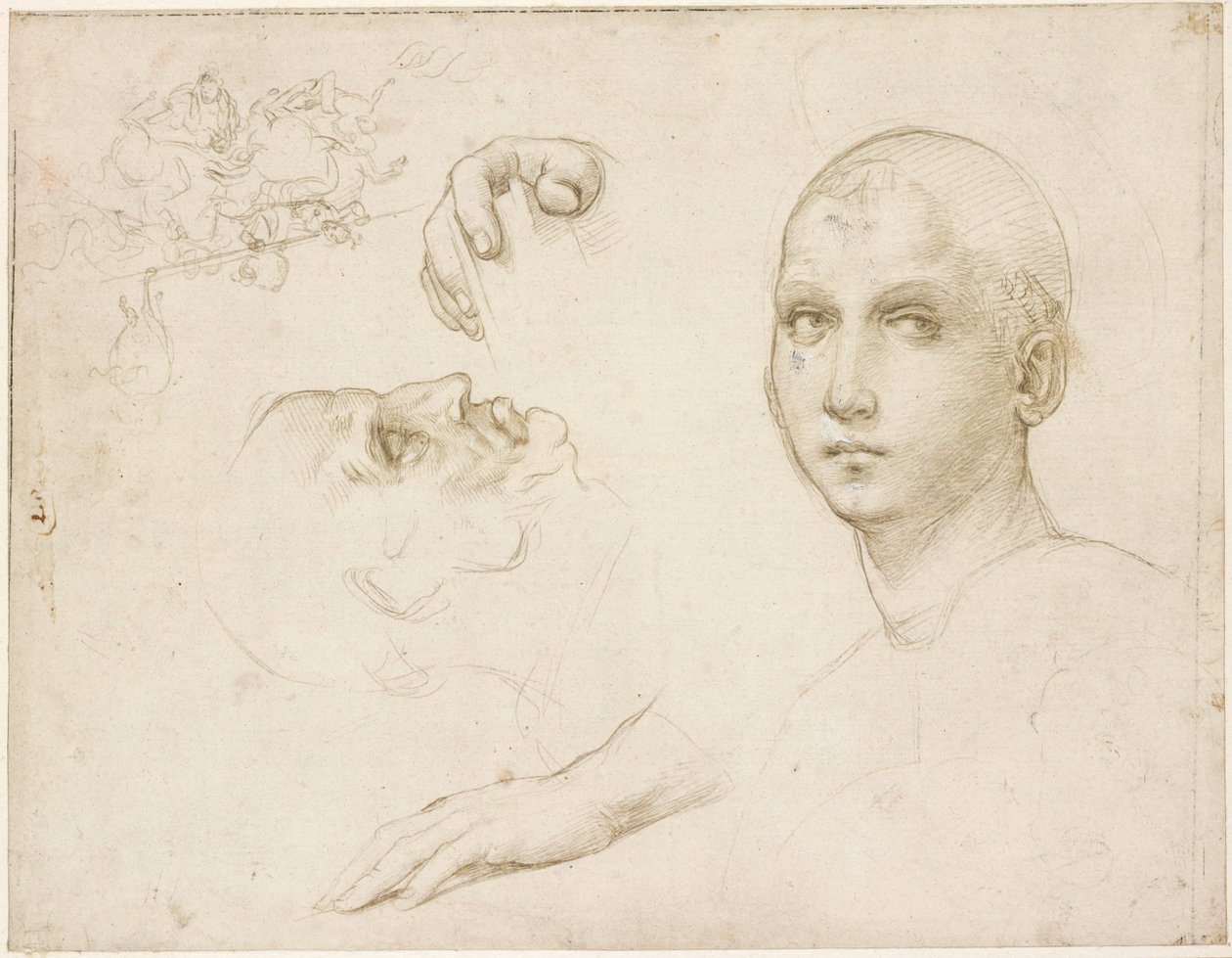 Studier til San Severos treenighed og skitser efter Leonardo, WA1846.176 af Raffaello Sanzio Raphael