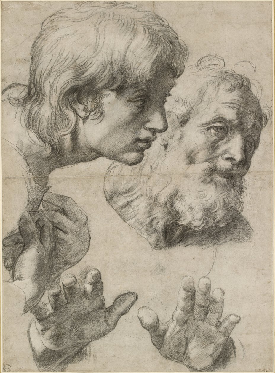Studier af to apostles hoveder og deres hænder, WA1846.209 af Raffaello Sanzio Raphael