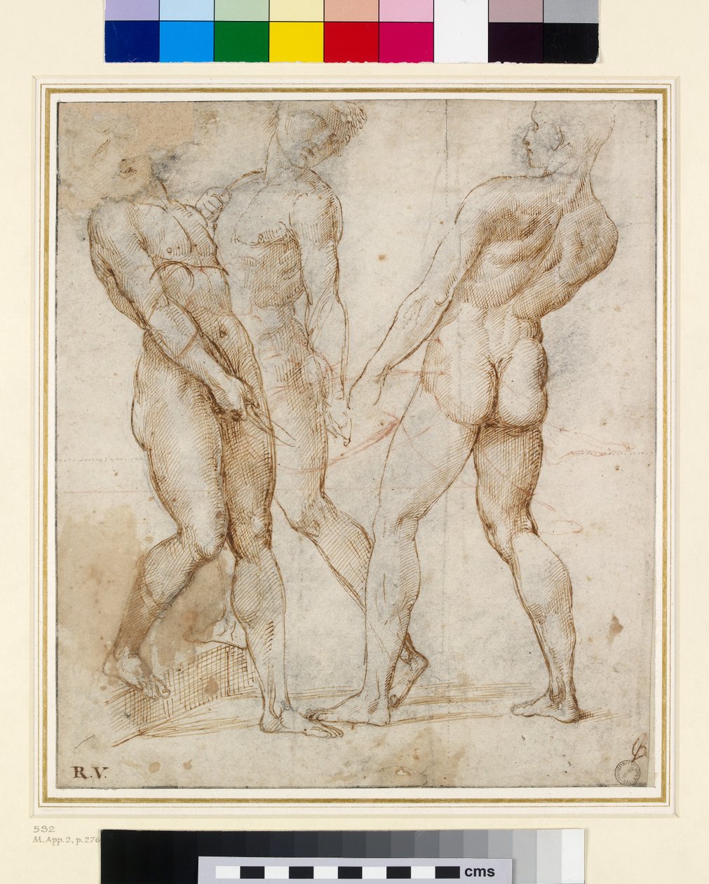 The Nude Bearers (Study for the Entombment) (pen & blæk med gouache på papir) af Raffaello Sanzio Raphael
