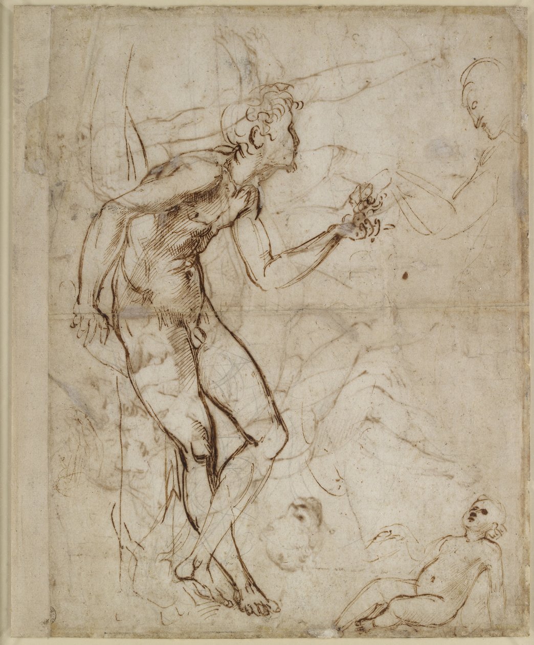 Bagside: Adam fristet, WA1846.180 af Raffaello Sanzio Raphael