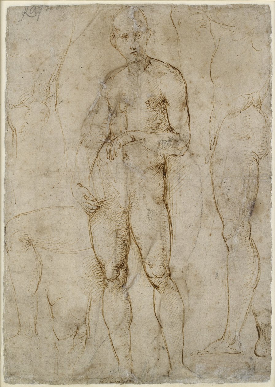 Bagside: Nøgenstudie for en St Paul, WA1846.163 af Raffaello Sanzio Raphael