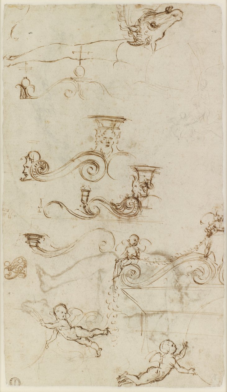 Verso: Ark med undersøgelser hovedsageligt af ornamentale detaljer, WA1846.147 af Raffaello Sanzio Raphael