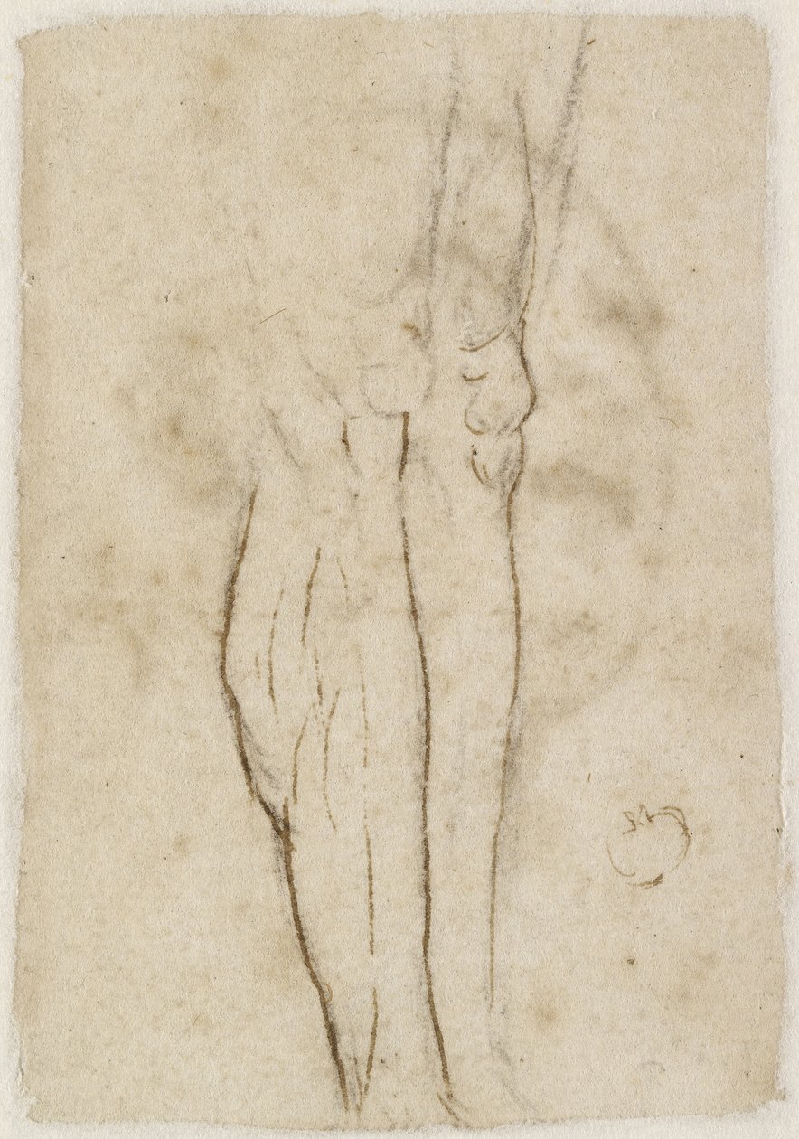 Bagside: Skitse af et par ben, WA1846.156 af Raffaello Sanzio Raphael