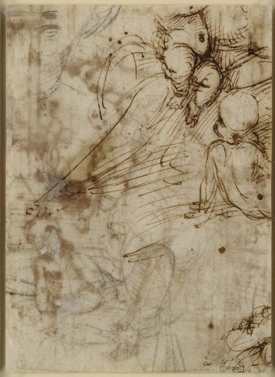 Verso: The Virgin, WA1846.162 af Raffaello Sanzio Raphael