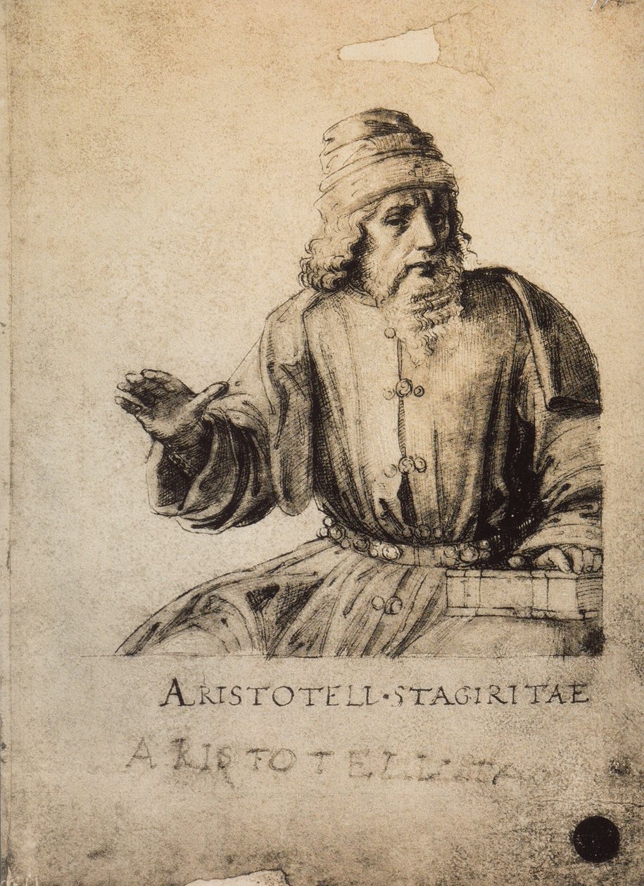 Aristoteles; tegning af Raphael. Gallerie dellAccademia, Venedig af Raffaello Sanzio Raphael