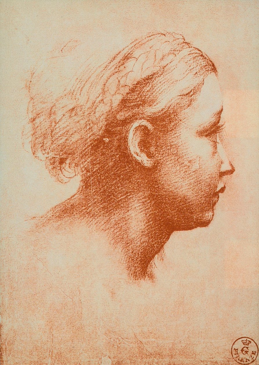 Kvindehoved i profil, tegning af Raphael. Kabinet for tegninger og tryk, Uffizi, Firenze af Raffaello Sanzio Raphael