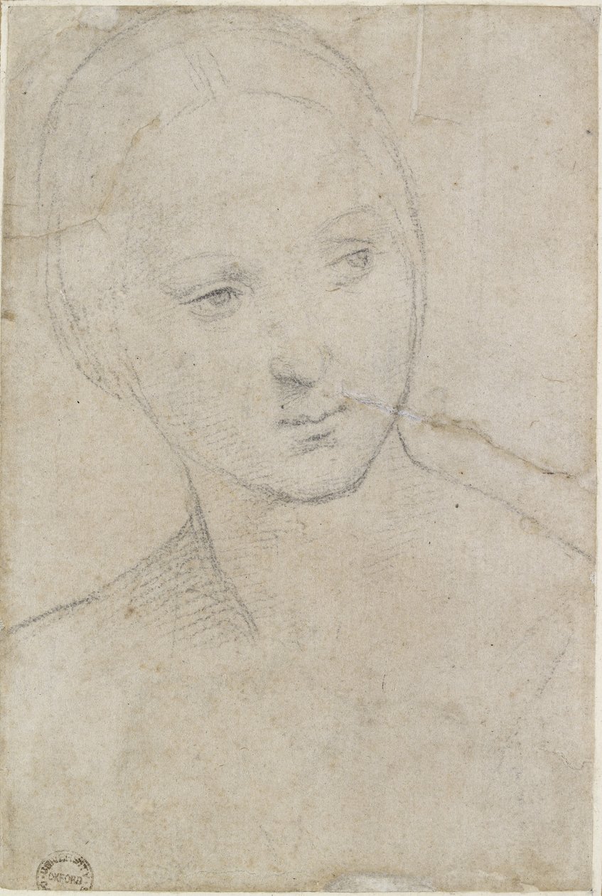 Recto: Study of the Head of a Young Woman, WA1846.157 (sort kridt på råhvidt papir) af Raffaello Sanzio Raphael