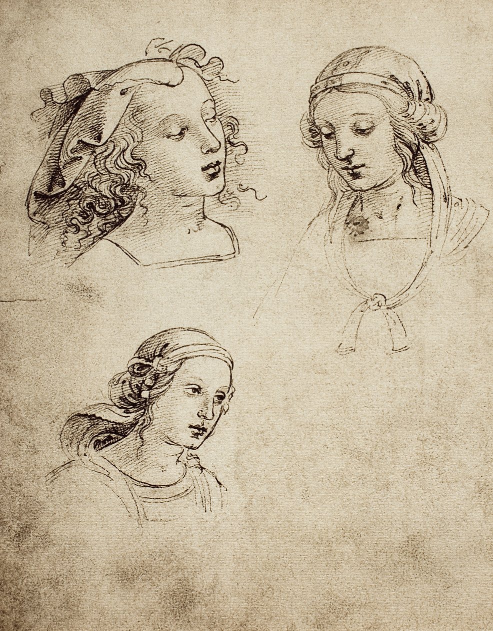 Studie til tre feminine hoveder; tegning af Raphael. Gallerie dell Accademia di Venezia af Raffaello Sanzio Raphael