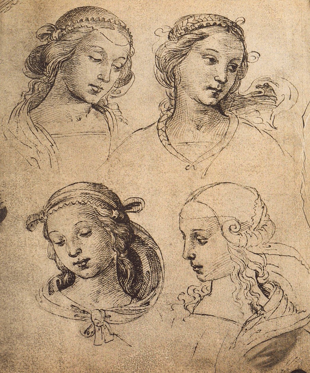 Undersøgelse af fire kvindeansigter; tegning af Raphael. Gallerie dellAccademia, Venedig af Raffaello Sanzio Raphael