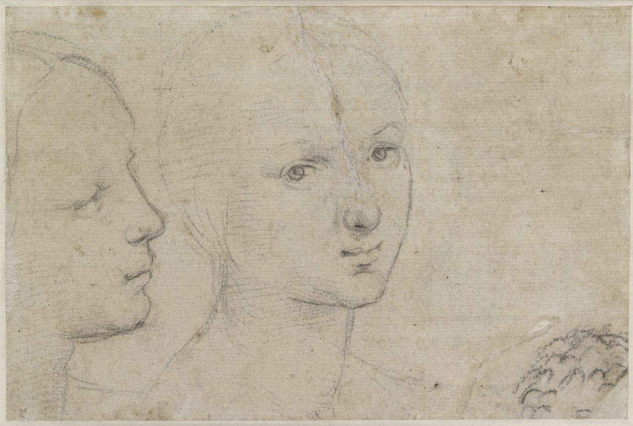 Bagside: To studier af hovedet af en ung kvinde, WA1846.157 (sort kridt på råhvidt papir) af Raffaello Sanzio Raphael