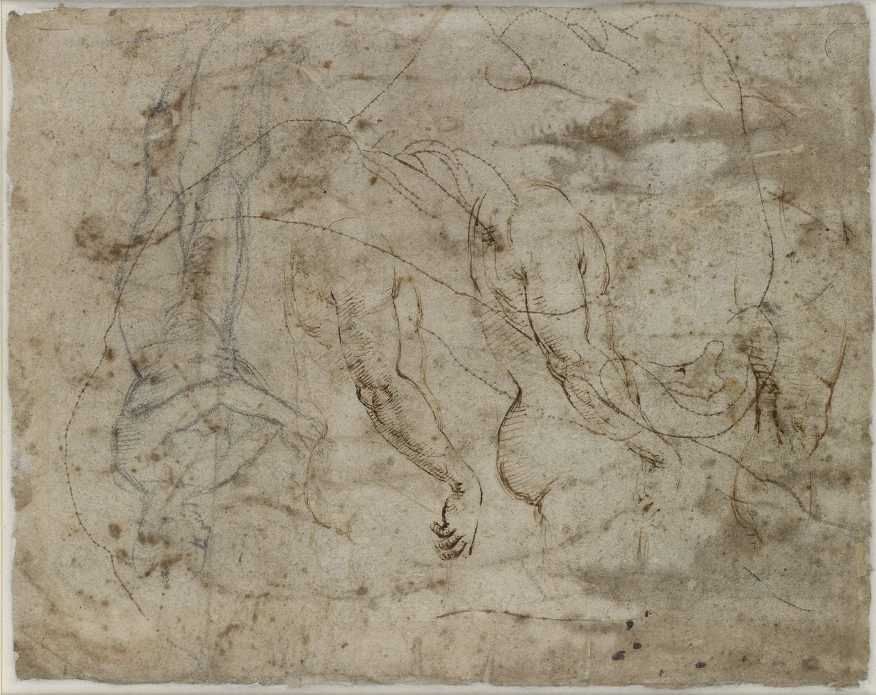 Verso: to undersøgelser af arme, en profil, der kigger opad og en stående figur, WA1846.164 (pen & blæk, sort kridt, profilen prikket til overførsel) af Raffaello Sanzio Raphael