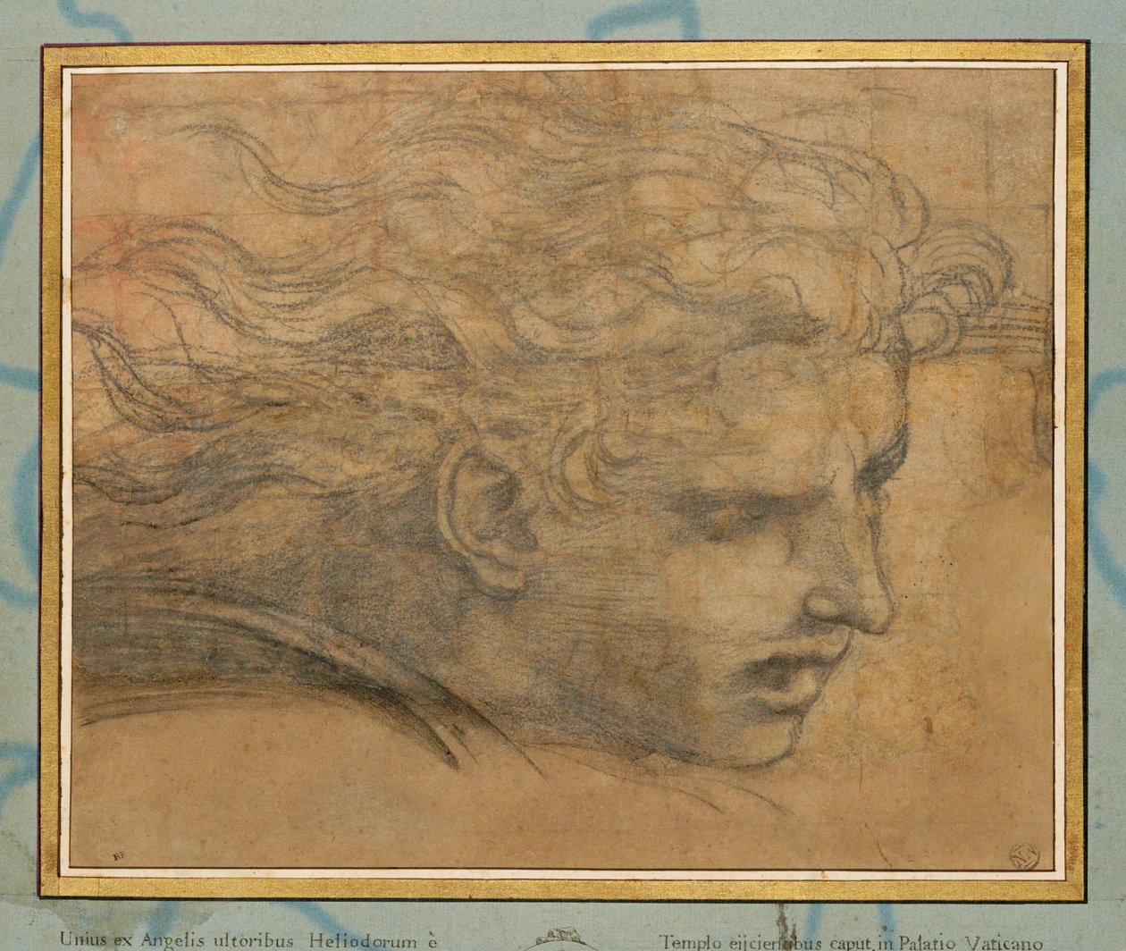 Hovedet af en ung mand, tre fjerdedele mod højre ... af Raphael (1483-1520)